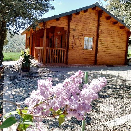 Вилла La Casa Del Estanque Олокау-дель-Рей Экстерьер фото