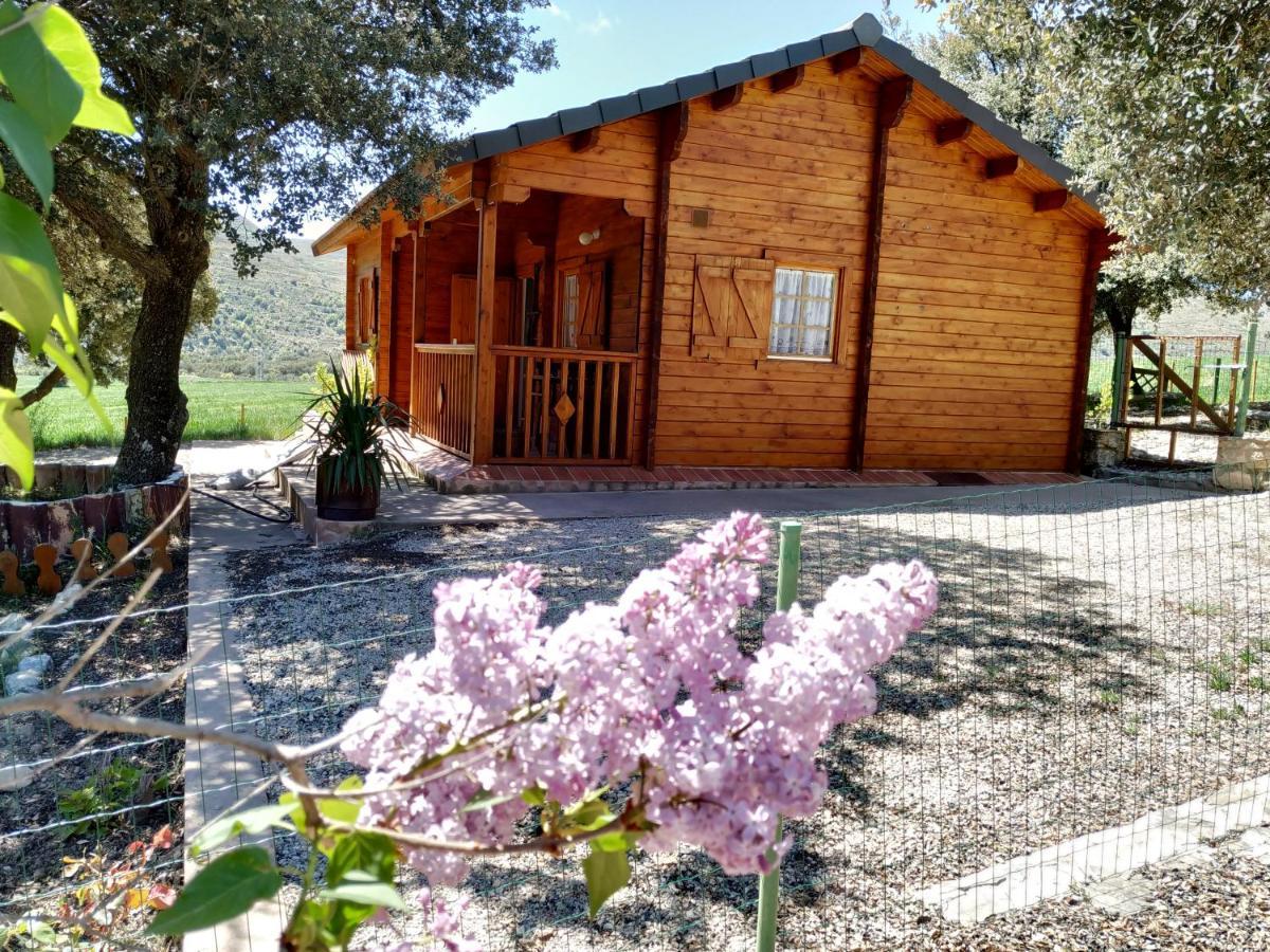Вилла La Casa Del Estanque Олокау-дель-Рей Экстерьер фото